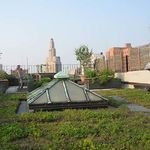Introduction to Green Roofs and Living Walls